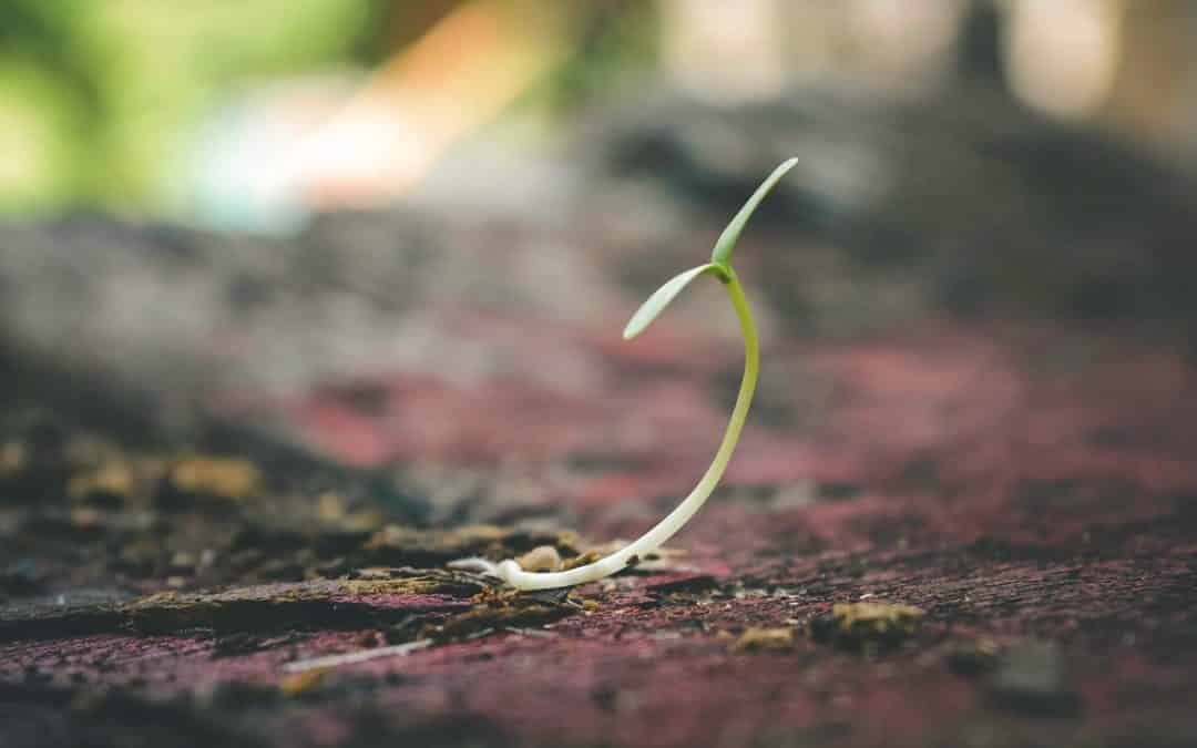 How Do You Rate Your Resiliency During Tough Times?